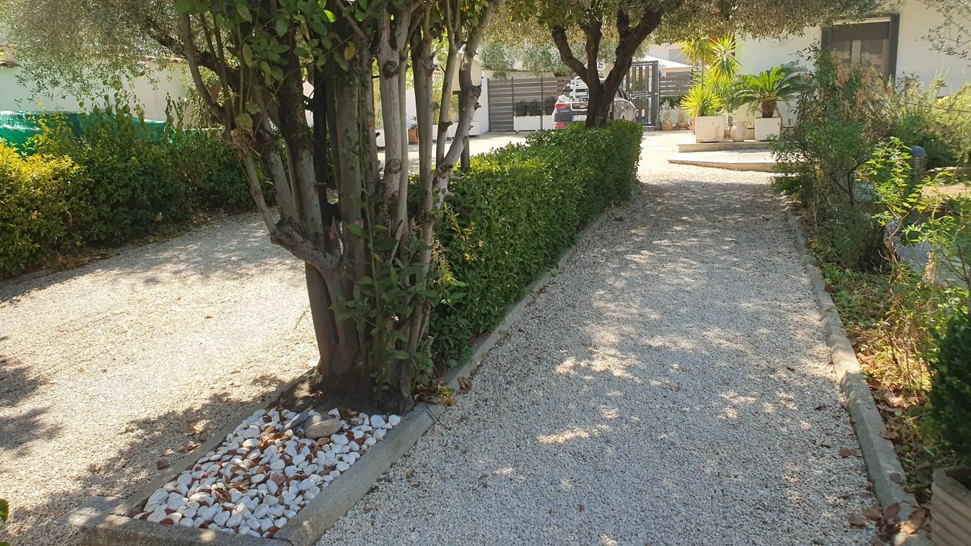 Lilli Home Urban Garden - Private Garden And Reserved Free Parking In Detached House Surrounded By The Greenery Of Rome Italy
